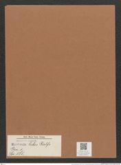 Navicula hebes Ralfs (de-Toni-Nr.: Genus 1, Species 585) Zeichnungen Sammlung Grunow Mappe 00511 (Herbarium_W_Grunow_drawings_Folder_00511)